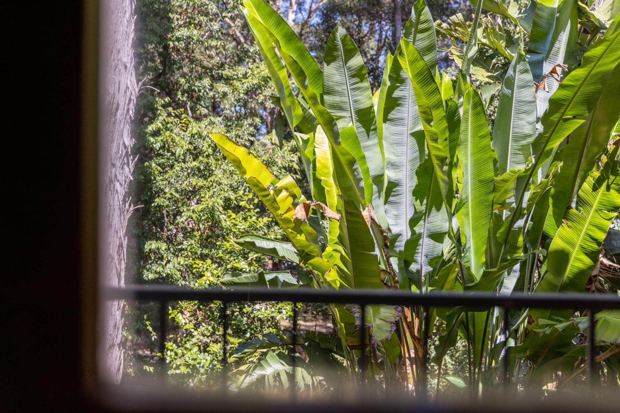 Resort Sanctuary Motor Coffs Harbour